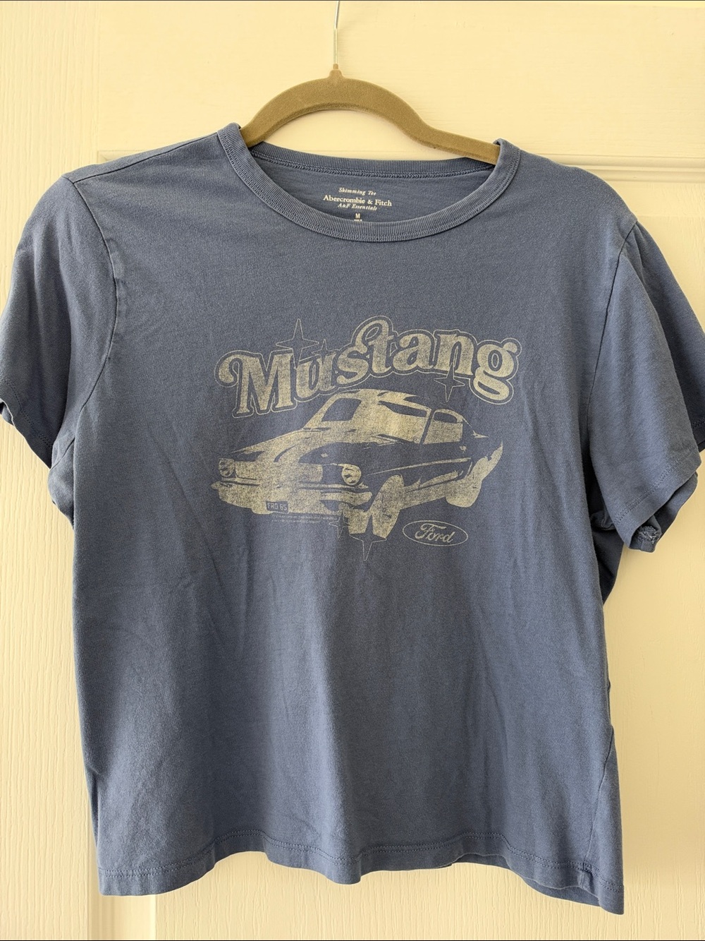 Abercrombie & Fitch Graphic Skimming Tee - Blue